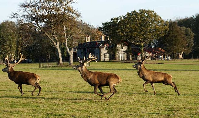 The Gunton Arms Exterior
