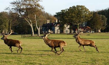 The Gunton Arms
