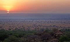 Elewana Serengeti Pioneer Camp