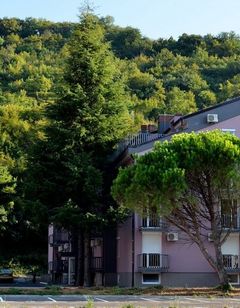 Aparthotel Pinjola