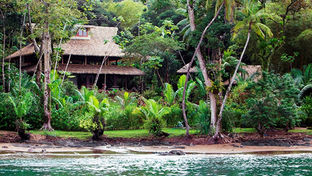 Copa De Arbol Beach & Rainforest Resort