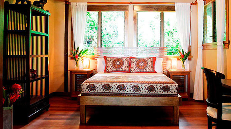 Copa De Arbol Beach & Rainforest Resort Room