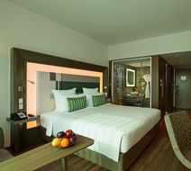 Novotel Chennai Sipcot Room