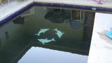 Kona Hawaii Guest House Spa