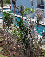 Platinum Yucatan Princess All Suites
