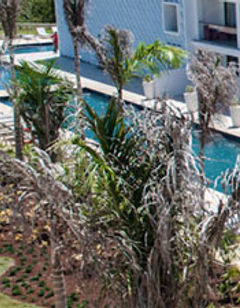Platinum Yucatan Princess All Suites