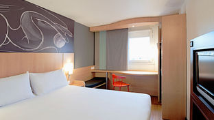 Ibis Los Mochis
