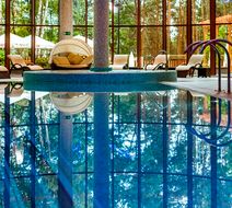 Hotel Narvil Conference & Spa Pool