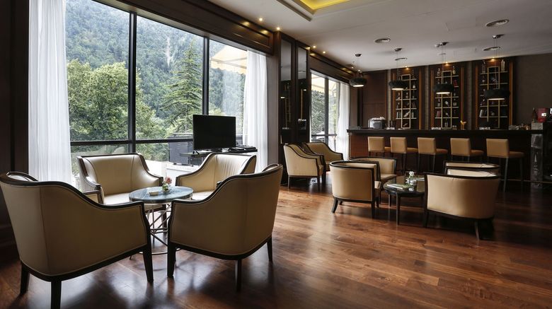 <b>Hotel Borjomi Likani Bar/Lounge</b> <b>Hotel Borjomi Likani Bar/Lounge</b>