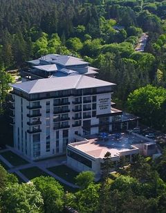 Hotel Borjomi Likani