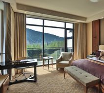 Hotel Borjomi Likani Room
