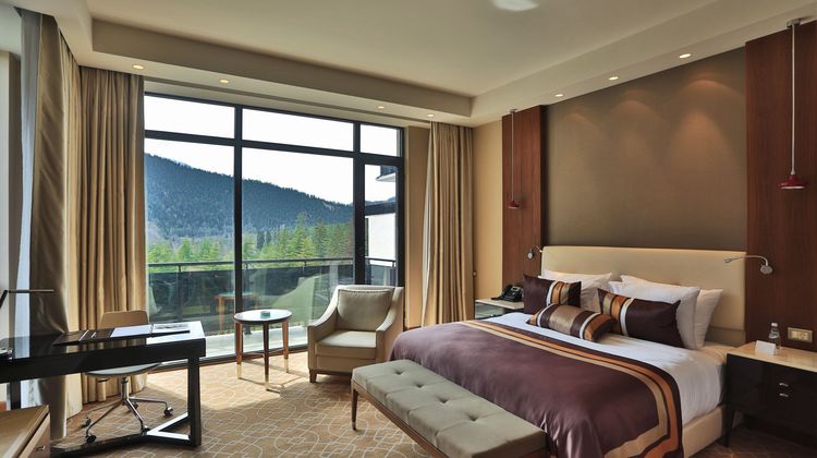 Hotel Borjomi Likani Room