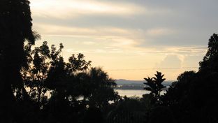 Papyrus Guesthouse Entebbe
