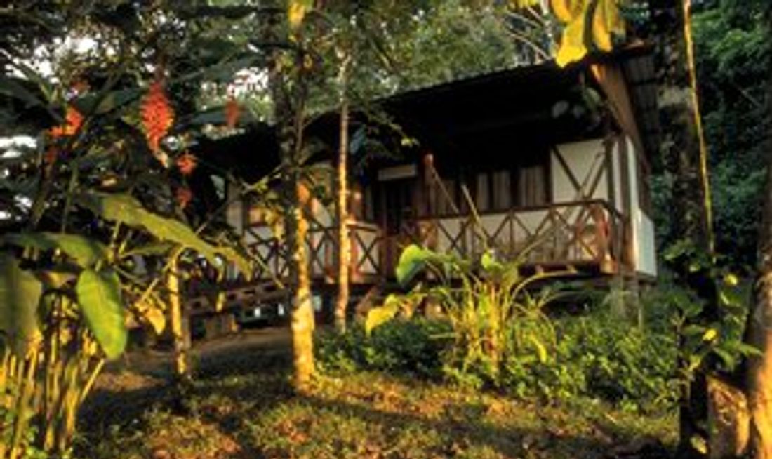 Yachana Lodge Room