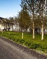 Bitra Guesthouse B&B