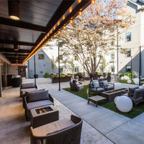voco The Darwin-Atlanta Midtown