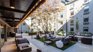 voco The Darwin-Atlanta Midtown