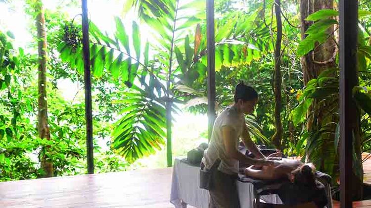Vista Celestial Spa