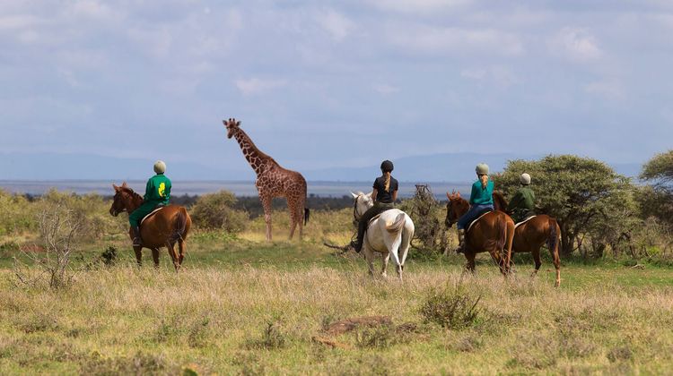 Elewana Loisaba Tented Camp Recreation