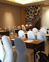 Mercure Solo