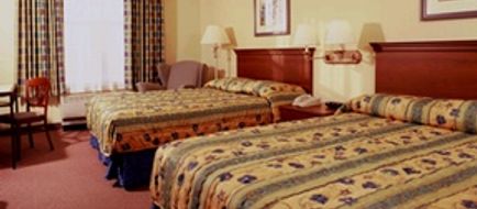 Calypso Cay Resort Room
