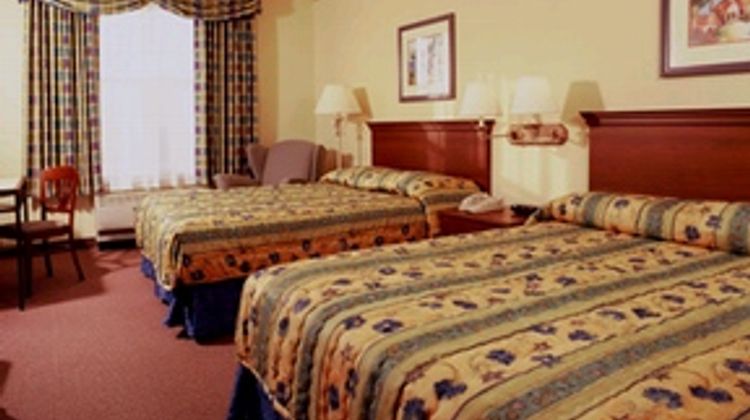 Calypso Cay Resort Room