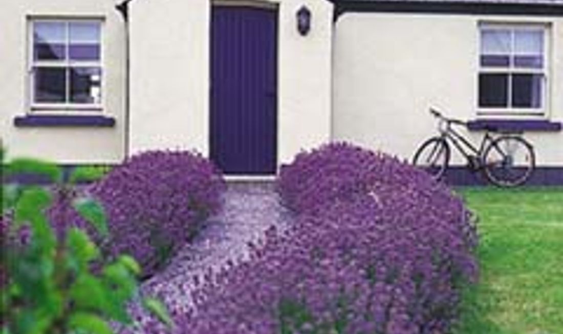 Coolbawn Quay Club Marina Spa Exterior
