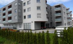 Dream Hotel