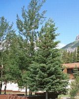 The Crossing Resort