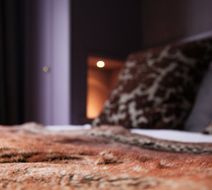 Suitehotel Posthoorn Room