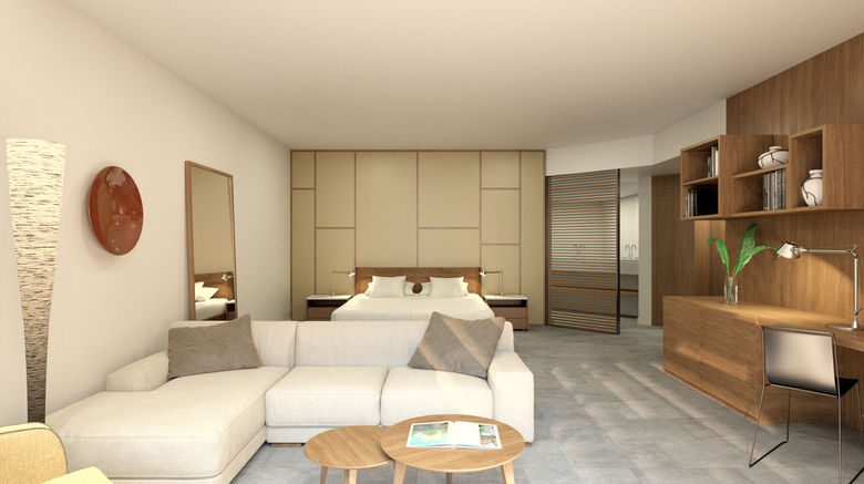 <b>Excellence El Carmen Room</b>