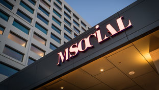 M Social Auckland