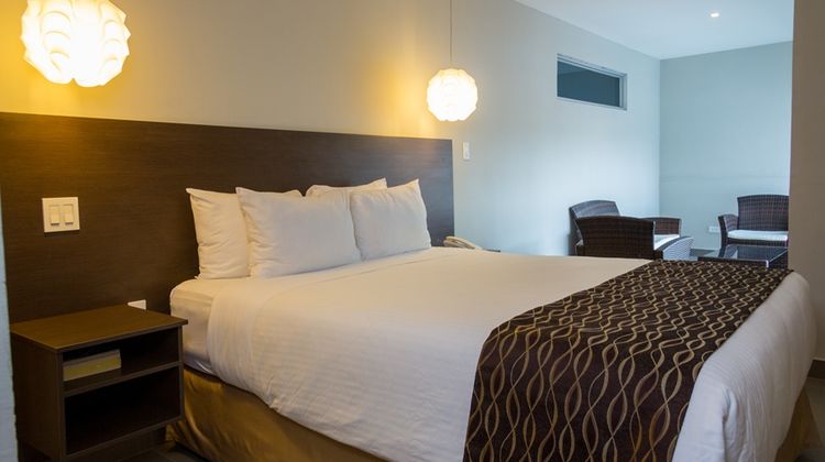 Hotel Ojos del Rio Room