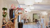 Edem Resort Medical & Spa Spa