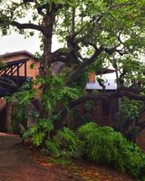 Ulwazi Rock Lodge