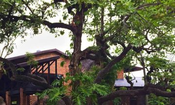 Ulwazi Rock Lodge