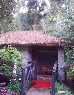 Le Bambou Gorilla Lodge