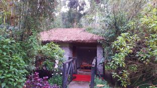 Le Bambou Gorilla Lodge