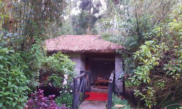 Le Bambou Gorilla Lodge