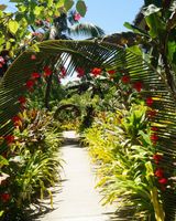 Return to Paradise Resort & Spa