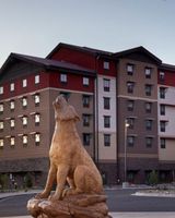 Great Wolf Lodge Arizona