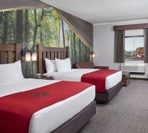 Great Wolf Lodge Arizona Suite