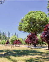 Mandala Springs Wellness Retreat Center