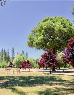 Mandala Springs Wellness Retreat Center