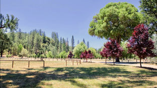 Mandala Springs Wellness Retreat Center