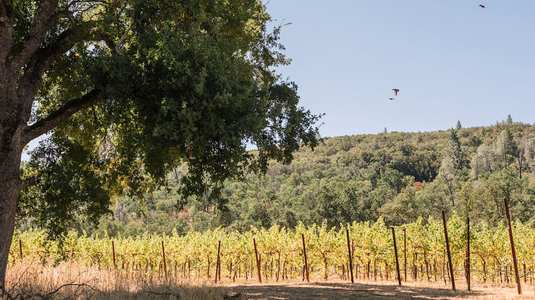 <b>Huttopia Wine Country Other</b> <b>Huttopia Wine Country Other</b>