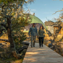 Moreno Camp