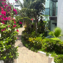 The Lead Hotel