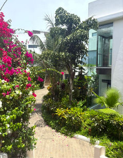 The Lead Hotel