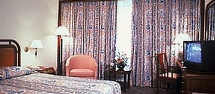 City Garden Hotel Room